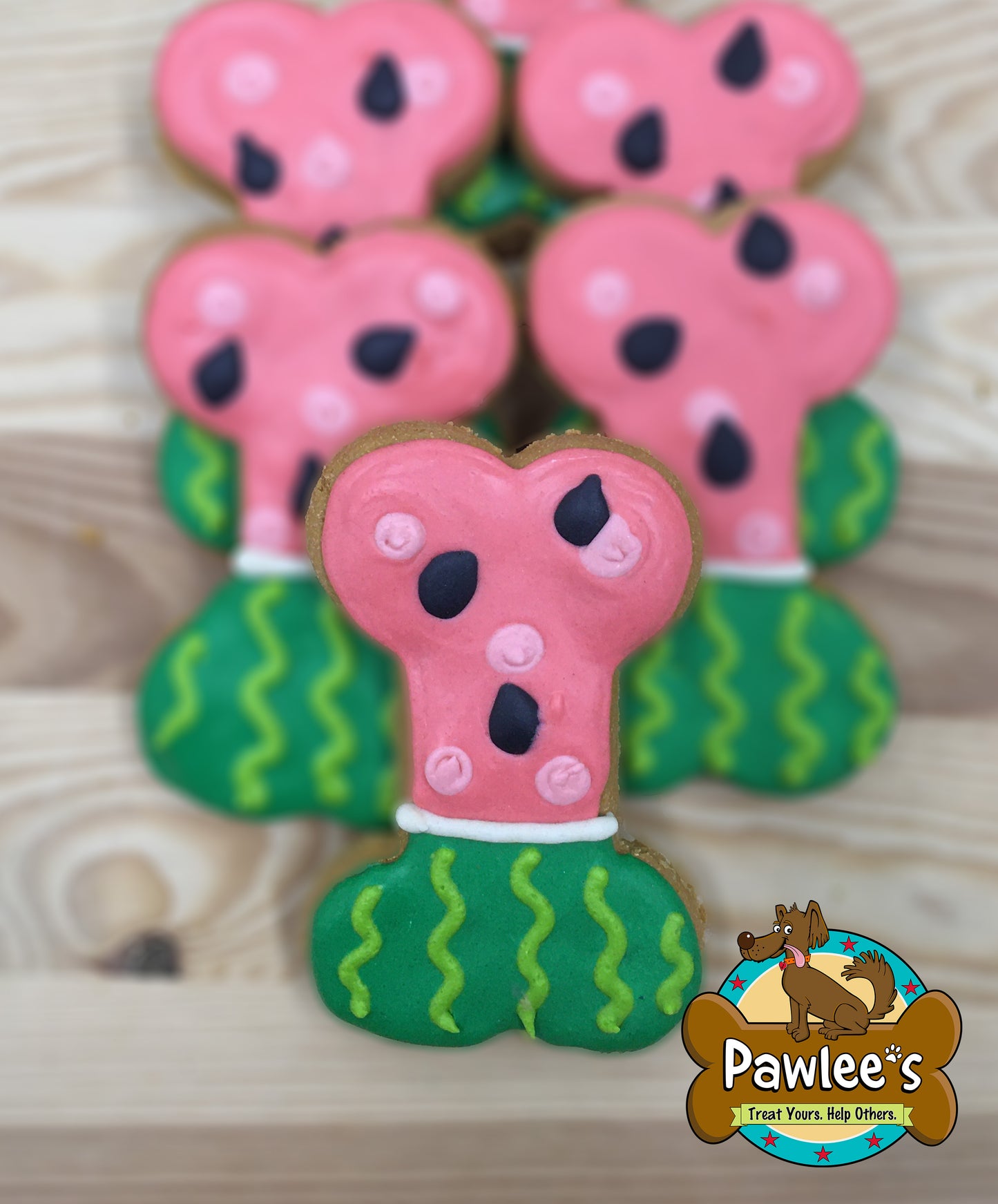 Watermelon Bone Decorated Cookie 10/Pack
