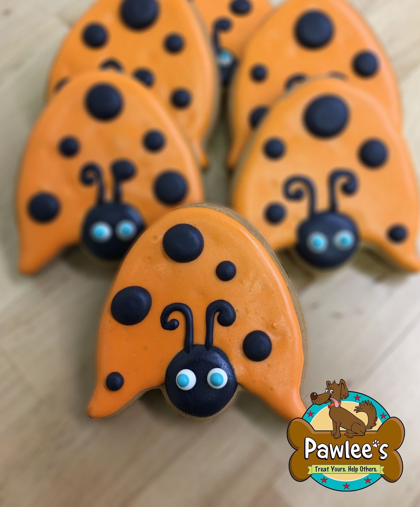 Biscuit Lady Bug (commande minimum 6 pièces)