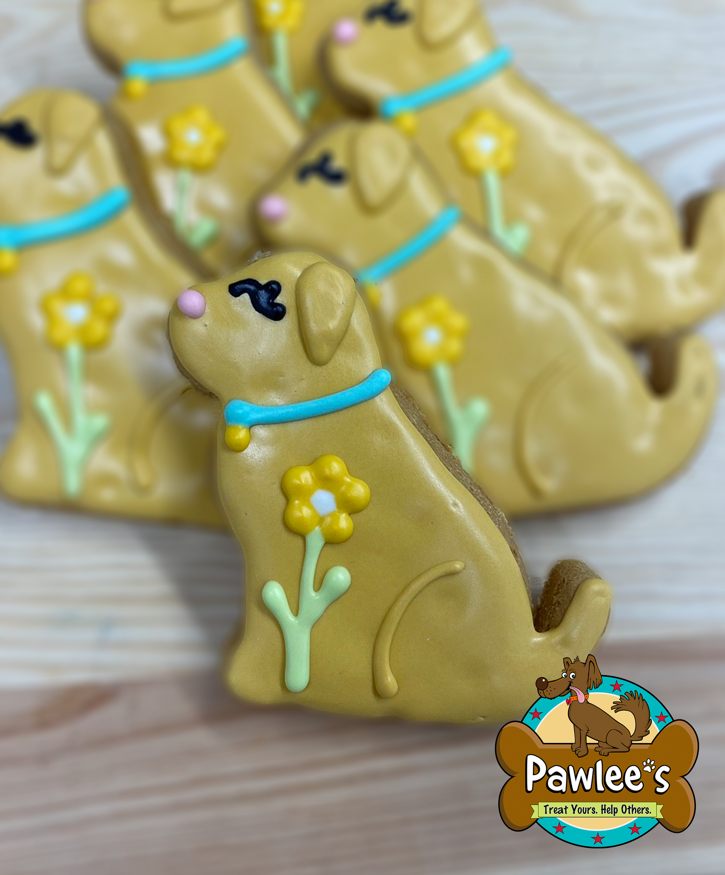 Spring Doggie Cookie 4/Pack